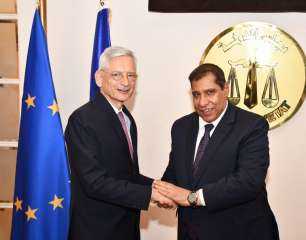 رئيس مجلس الدولة يلتقى السفير النمساوي بالقاهرة