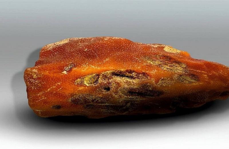 صوت العالم