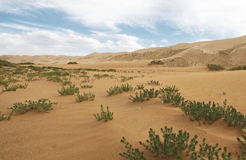 صوت العالم